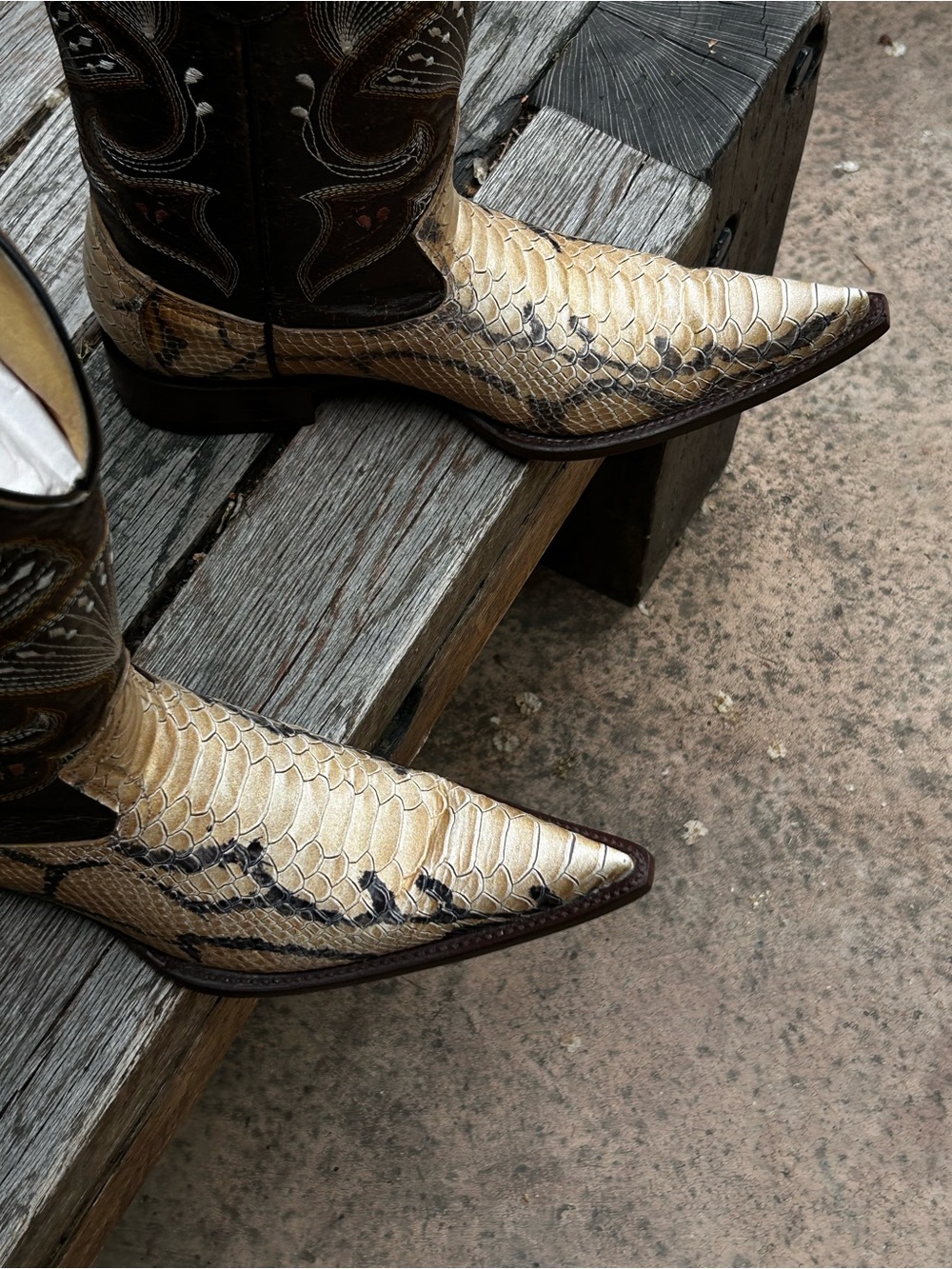 Old Corral Gold and Brown Exotic Snake Cowboy Boots Snip Toe       Size 9 D